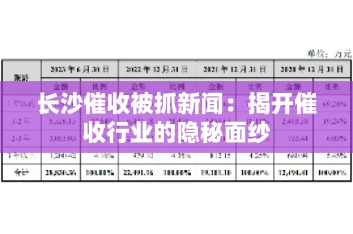 长沙催收被抓新闻：揭开催收行业的隐秘面纱