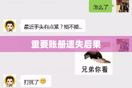 重要账册遗失后果