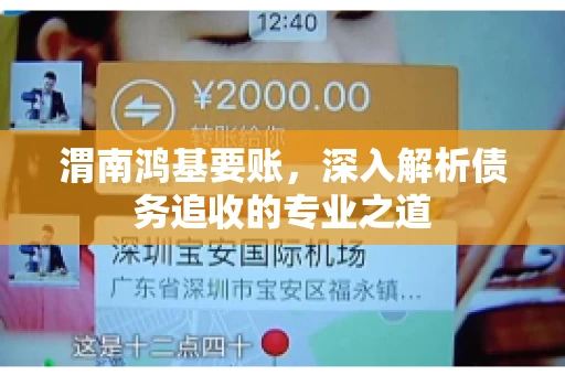 渭南鸿基要账，深入解析债务追收的专业之道