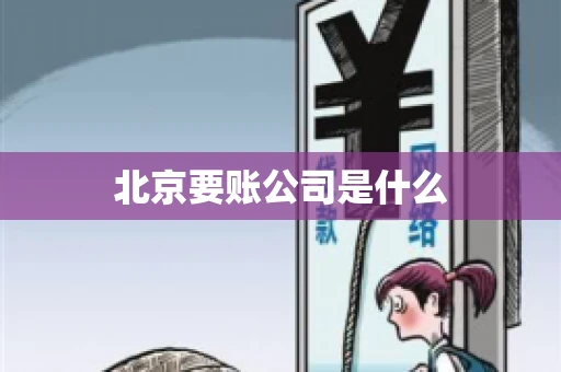 北京要账公司是什么