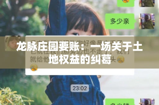 龙脉庄园要账:一场关于土地权益的纠葛 龙脉庄园要账:一场关于土地权益的纠葛