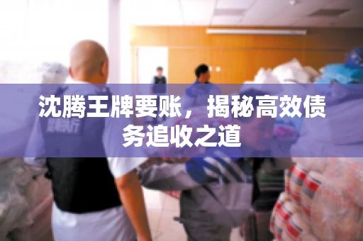 沈腾王牌要账,揭秘高效债务追收之道 沈腾王牌要账,揭秘高效债务追收之道