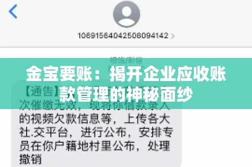 金宝要账：揭开企业应收账款管理的神秘面纱