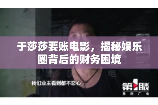 于莎莎要账电影,揭秘娱乐圈背后的财务困境 于莎莎要账电影,揭秘娱乐圈背后的财务困境