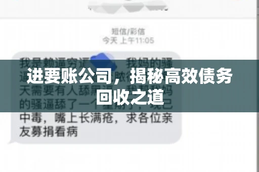 进要账公司,揭秘高效债务回收之道 进要账公司,揭秘高效债务回收之道